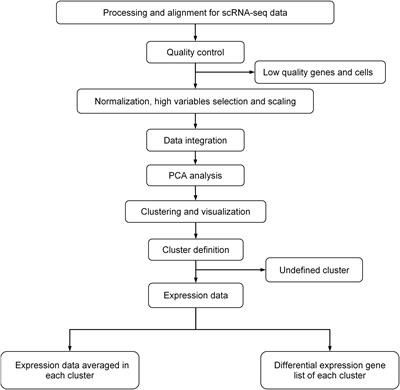 Leveraging Single-Cell RNA-seq Data to Uncover the Association Between Cell Type and Chronic Liver Diseases